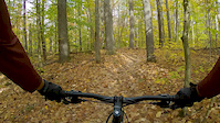 Big Bear Downhill Fall