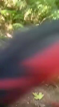 Surrey Biker Sluts