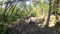 Wooden Bridges at Upper Ewok trail