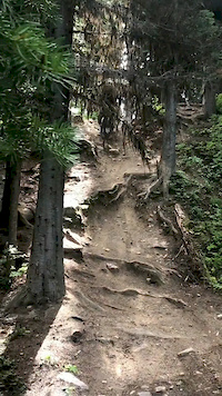 Joey on a DH racetrack
