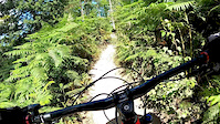 Departing through the bars