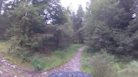 dyfi forest mtb