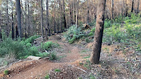 Berm action on upper Therapy