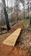 Bridge on Therapy