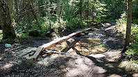 New feature on Ridge Trail