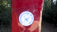 Danesborough Blue Trail Trailhead/Start Location