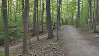 McFarren Woods Jumps