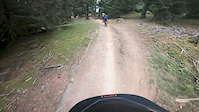 Crash 7 Laux