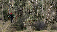 Bailey Christie tearing up his local trails!