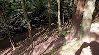 Slip and crash Pferdehof