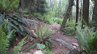 burnaby mtn 2019