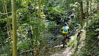 Superb trail in the middle