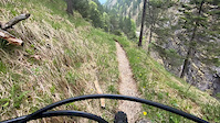 Bike with dog
