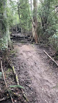 Fork skin Step Down