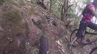 wharncliffe