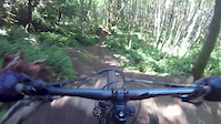 Little Monkey Jumps and Drops
