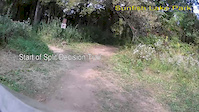 Split Decision Trail