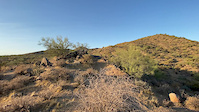 Desert rolls