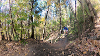 Upper Ewok trail Oct 3, 2020