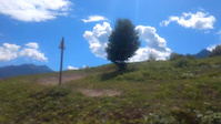 Ampezzo Bike Park