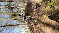 Massive Drop on Marquette MTN