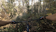 Prohibition trail Cumberland BC
