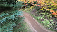 BonnyHop low