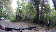 Bennett Gap Trail - Brevard NC