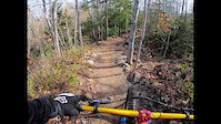McIntosh Run November 2020