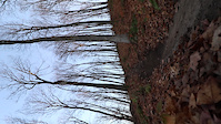 Heights of Horseshoe Step Down
