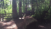 little log drop