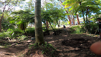 crash down at the local dirt jumps