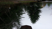 Wet late November 11/20/2020