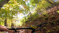 #SHAPINGTHESOUTH - PERFECT AUTUMN DAY OUT...