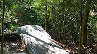 Shaolin Gap on The Alpine Trail