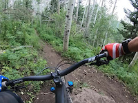 Lower Stoner DH
