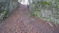Entry stairs into trail