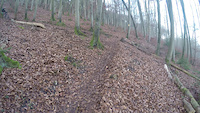 Switchback