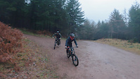 Roots And Jumps Downhill Triscombe