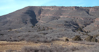 Western