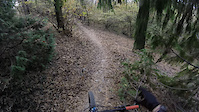 Chiesetta trail DH