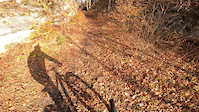 Habichtsburg-Trail