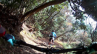 Mountain biking in Kobe