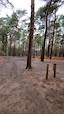 chicksands