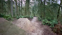 Clipped a Pedal