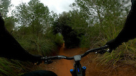 BackDraft DH