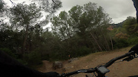 Traitor Single Track