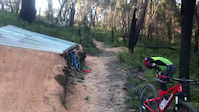 Blue Mountains Crash