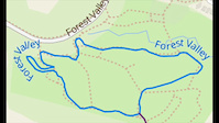 Features and specific line