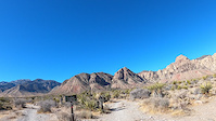 Mustang Loop